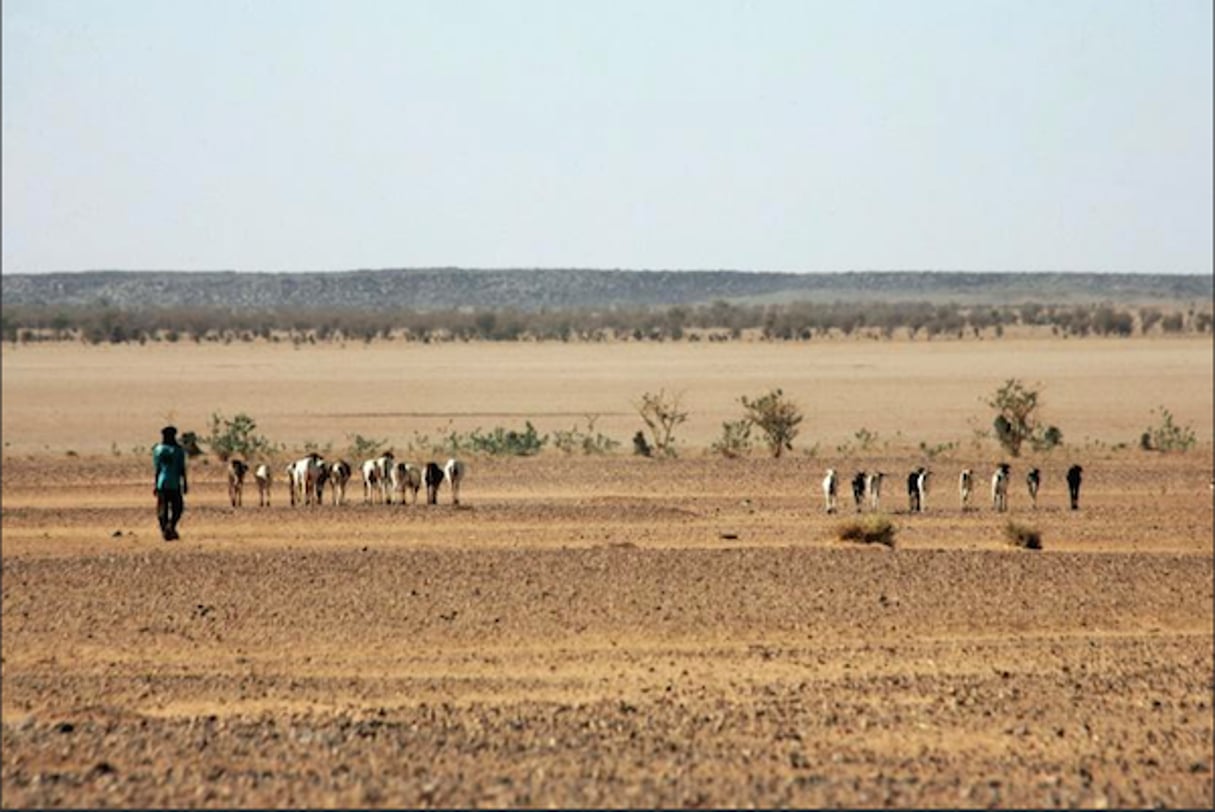 Photo prise dans le désert nigérien le 23 février 2005, entre Agadez et Arlit, à 850 km au nord de Niamey. © AFP