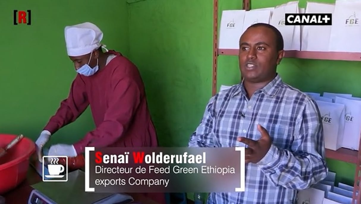 La société d’export de café et d’épices de Senaï Wolderufael pourrait très vite le faire rentrer dans le club des millionnaires éthiopiens, qui devrait compter 4 700 personnes en 2020. © Émission « Réussite » du 7 mai 2016.