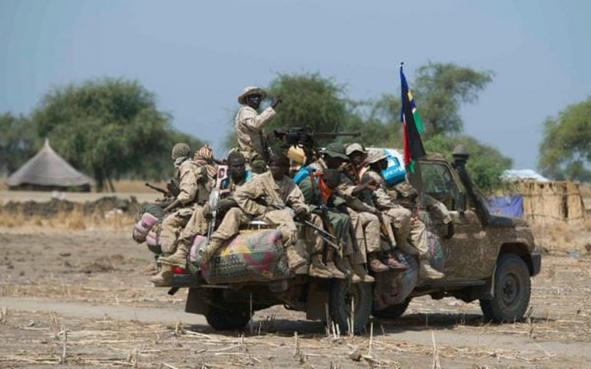 Des soldats sud-soudanais, le 26 janvier 2014, près du village de Bor. © AFP/ALI NGETHI