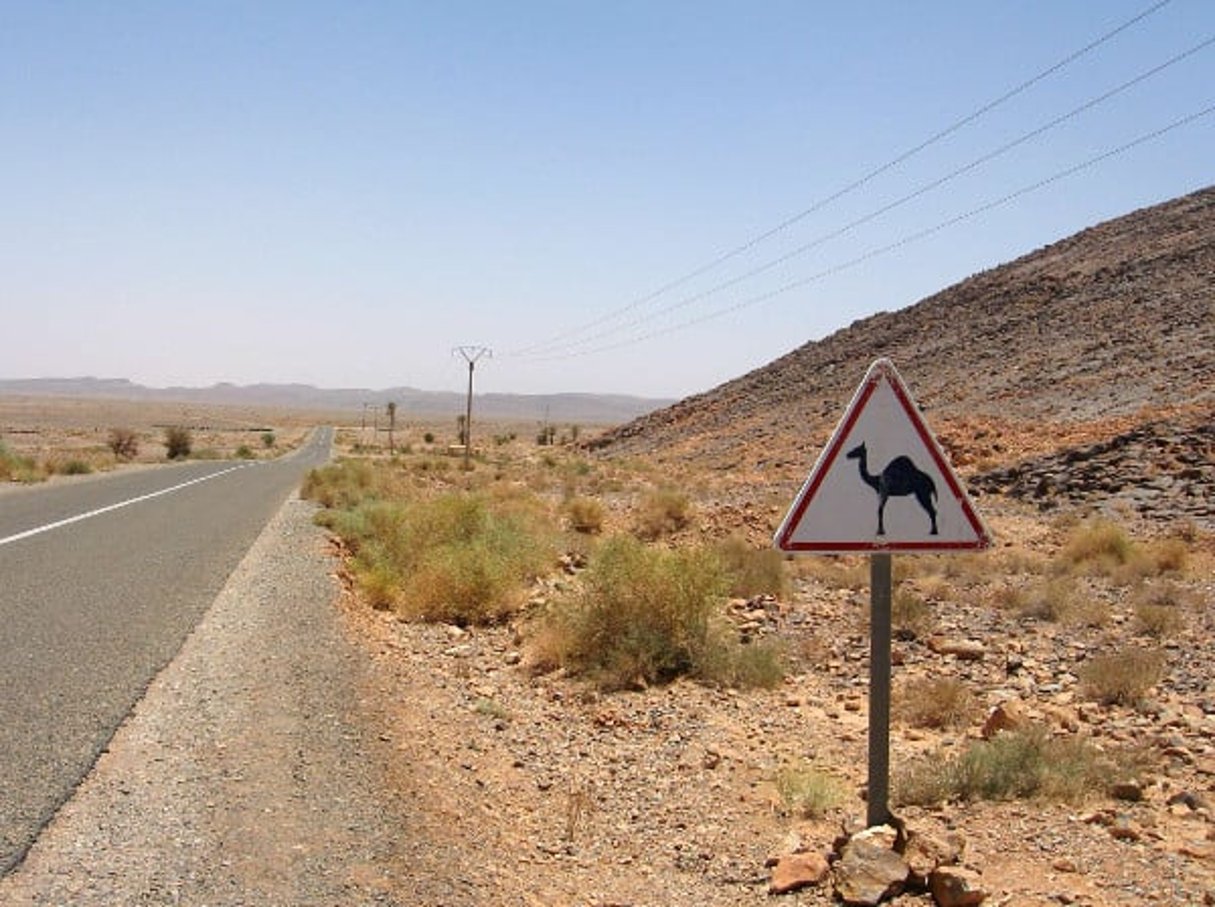 La route vers Erfoud dans le Sud du Maroc en juin 2013. © Giovanna Dell’Orto/AP/SIPA