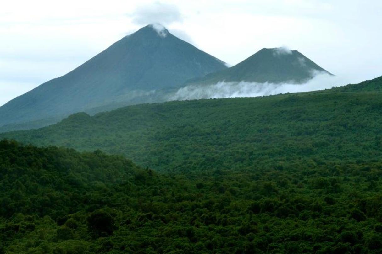 La forêt dans la région congolaise du Nord-Kivu. © Junior D. Kannah/AFP