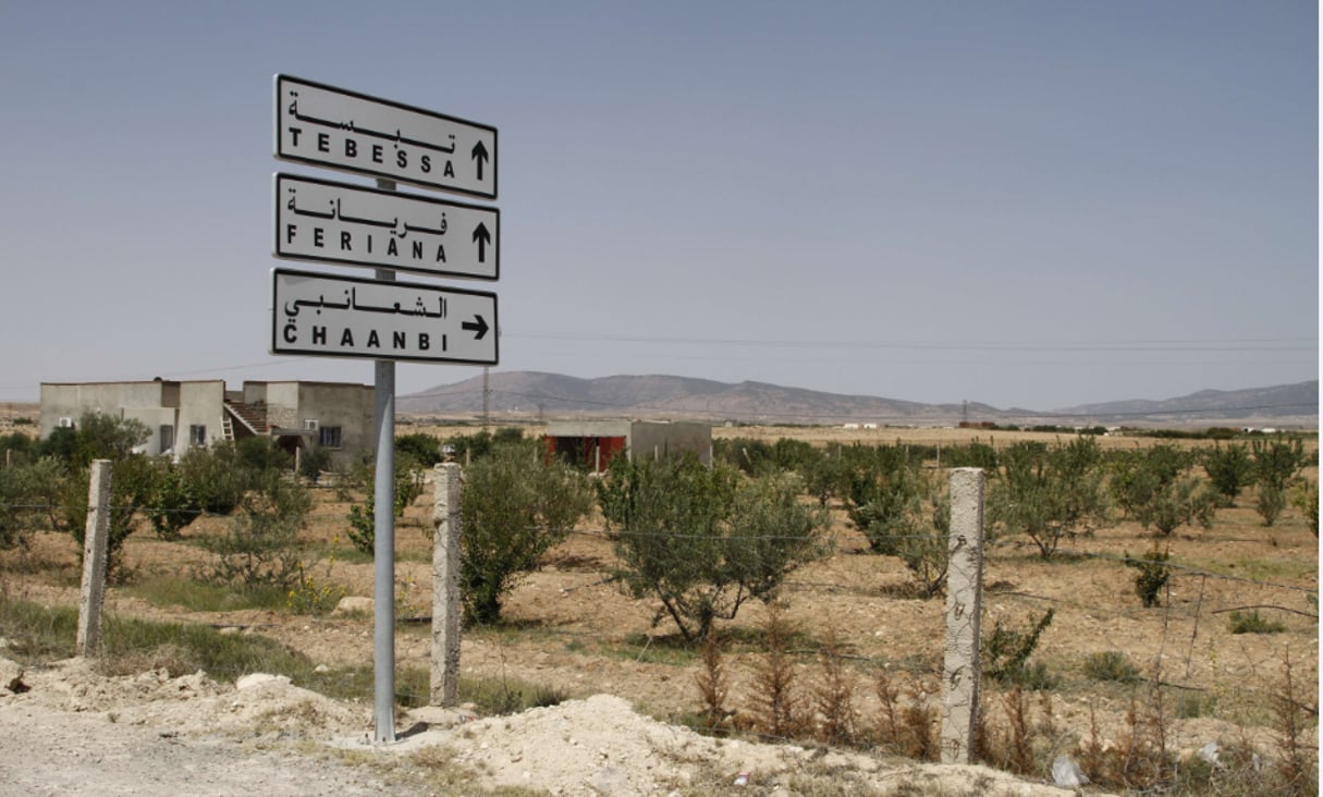Une route tunisienne en direction de la ville de Tebessa, en Algérie. © Paul Schemm/AP/SIPA