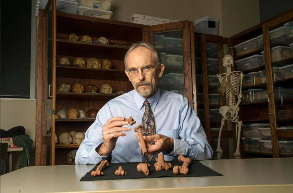 Portrait du professeur John Kappelman tenant une reproduction 3D du squelette de Lucy, découverte en 1974  dans la région de l’Afar, en Éthiopie. © Marsha Miller / AFP