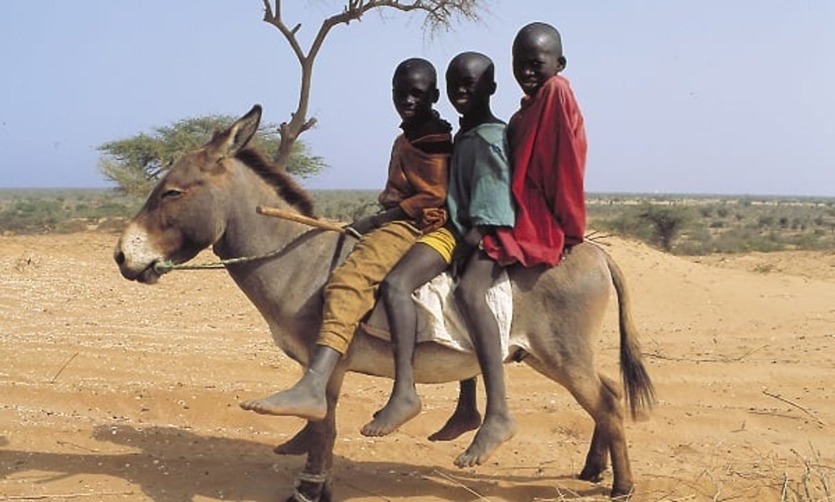 Trois enfants sur un âne au Sénégal. Photo d’archive de 2003. © Jacques DU SORDET / EditionsduJaguar