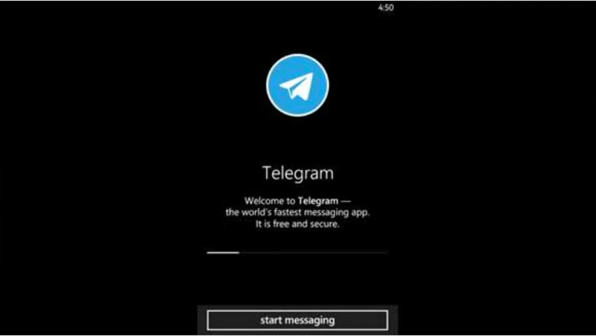 Capture d’écran de la messagerie Telegram. © DR