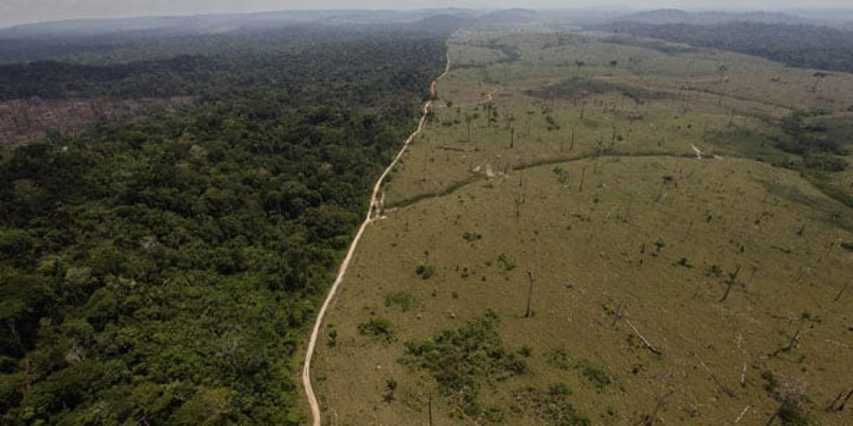 Illustration de la déforestation, au Brésil, en 2015. © Andre Penner/AP/SIPA