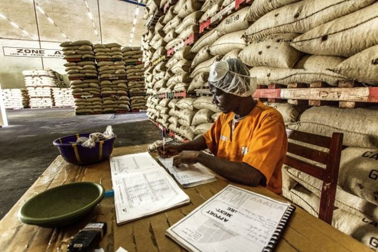 Unité de transformation du cacao dans l’usine de Choco Ivoire à San Pedro, dans le sud-ouest de la Côte d’Ivoire, en mars 2016. © Jacques Torregano/JA
