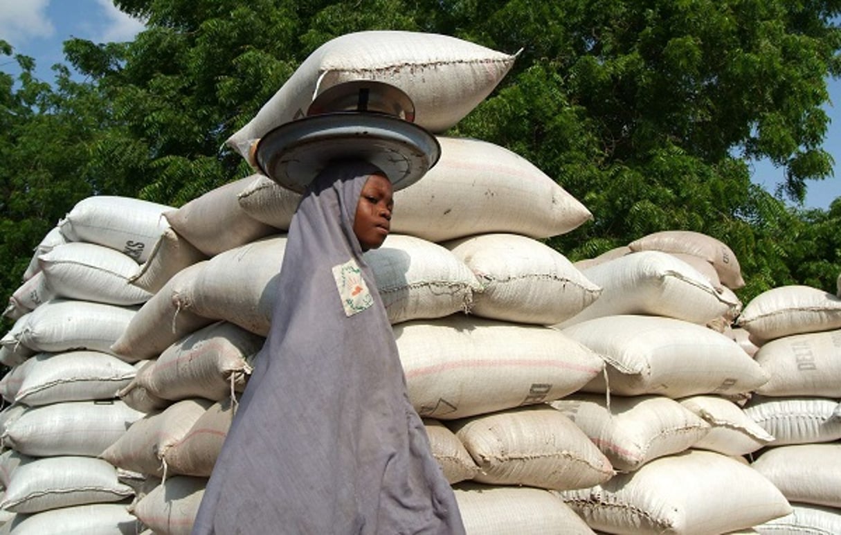 Une fille transporte des noix d’arachide à Maradi au Niger en 2005. © GEORGE OSODI/AP/SIPA