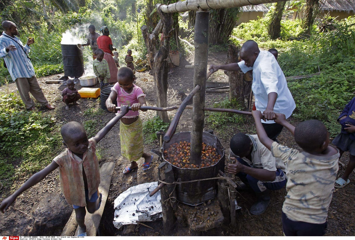 Image d’archive : une famille broie des noix de palmiers à huile à Walikale dans l’est de la RDC le 18 septembre 2010. C’est également dans les palmiers à huile que Feronia est active depuis le rachat des actifs de PHC en 2009. © Schalk van Zuydam/AP/SIPA