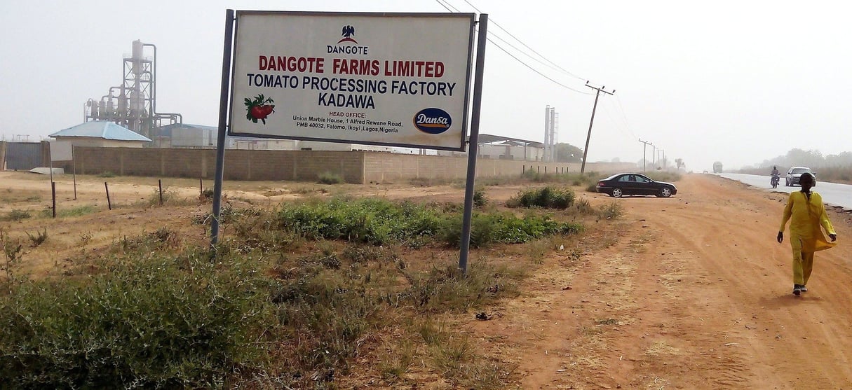L’usine de Kano était censée remédier à l’importation massive de concentré de tomates venu d’Asie. © AFP