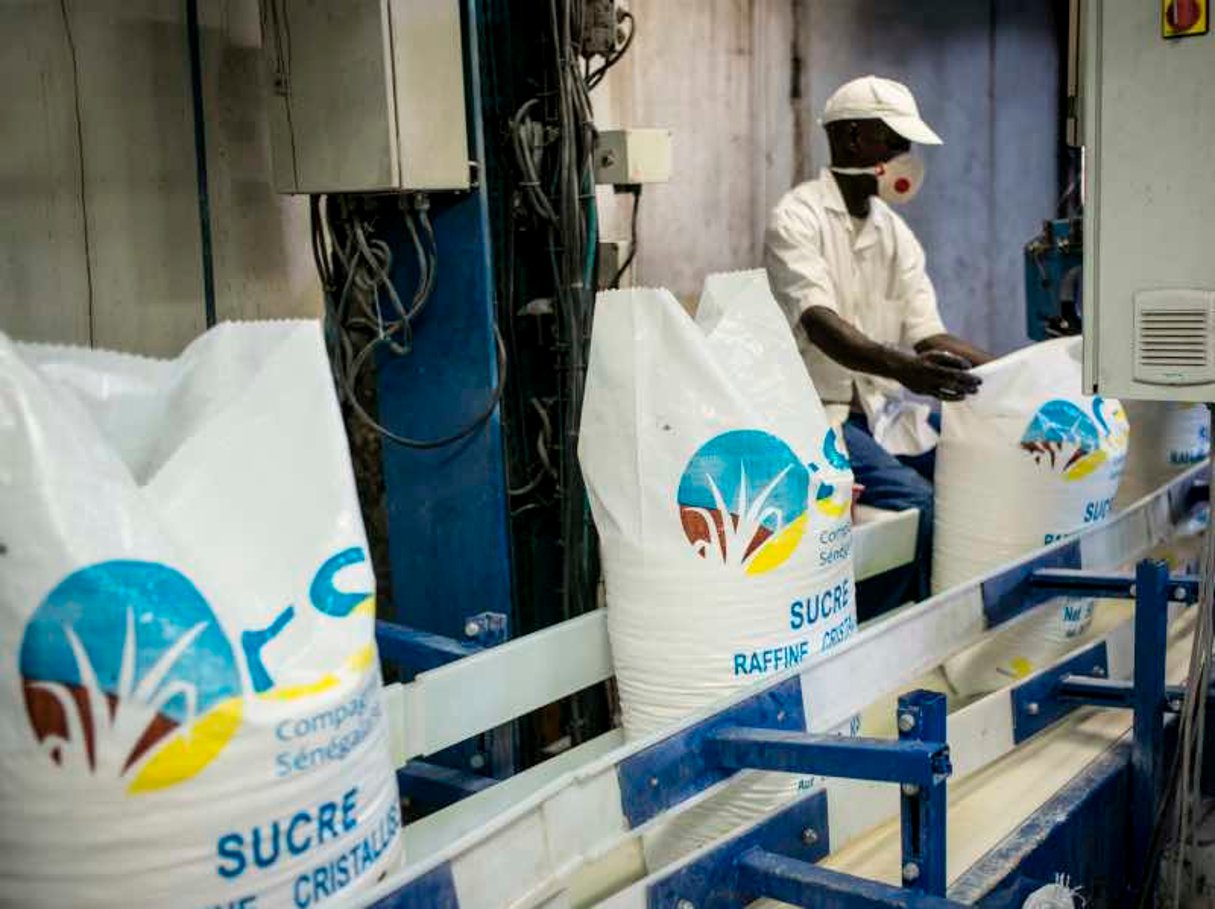 La Compagnie sucrière sénégalaise emploie plus de 5000 personnes en haute saison. © Sylvain Cherkaoui pour Jeune Afrique