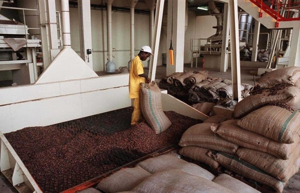 CEMOI, entreprise française de transformation de fève de cacao, à Abidjan © LE MOINE MICHEL/SIPA
