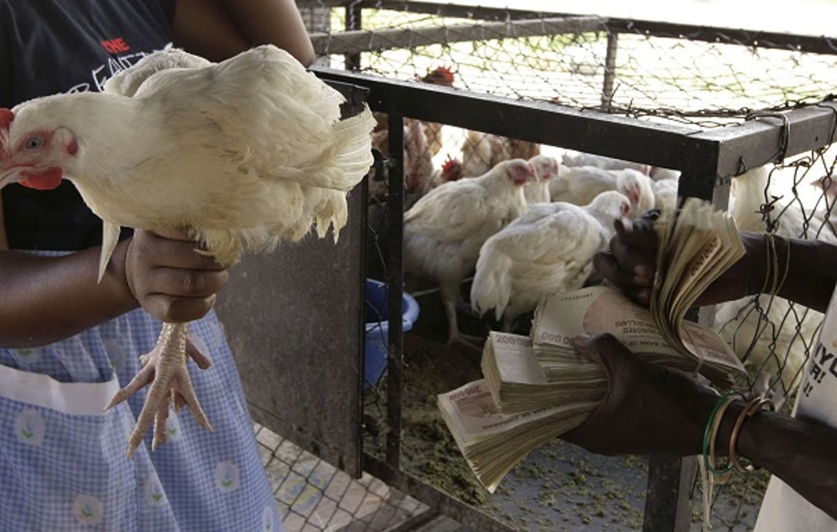 Achat d’un poulet à Harare au Zimbabwe le 8 mars 2008. © Tsvangirayi Mukwazhi/AP/SIPA