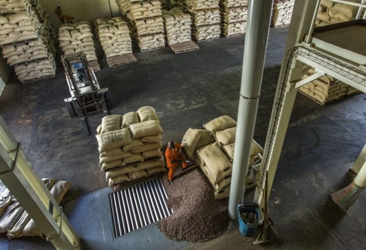 Unité de transformation du Cacao dans l’usine de Choco Ivoire à San Pedro, dans le sud-ouest de la Côte d’Ivoire, en mars 2016. © Jacques Torregano pour JA