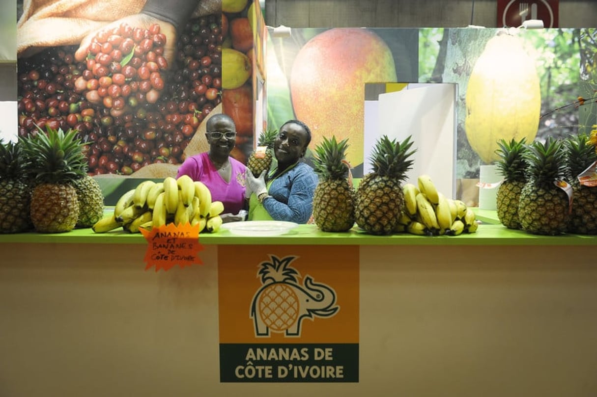 Le stand de la Côte d’Ivoire au Salon de l’agriculture à Paris, le 26.02.2015. © Vincent Fournier/JA