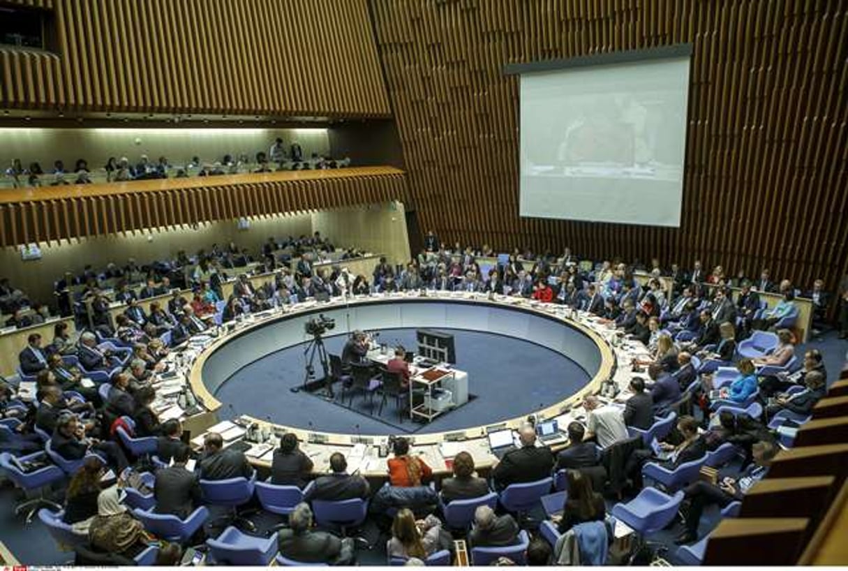 Réunion du conseil exécutif de l’Organisation mondiale de la santé à Genève le 23 janvier 2017. © Salvatore di Nolfi/AP/SIPA