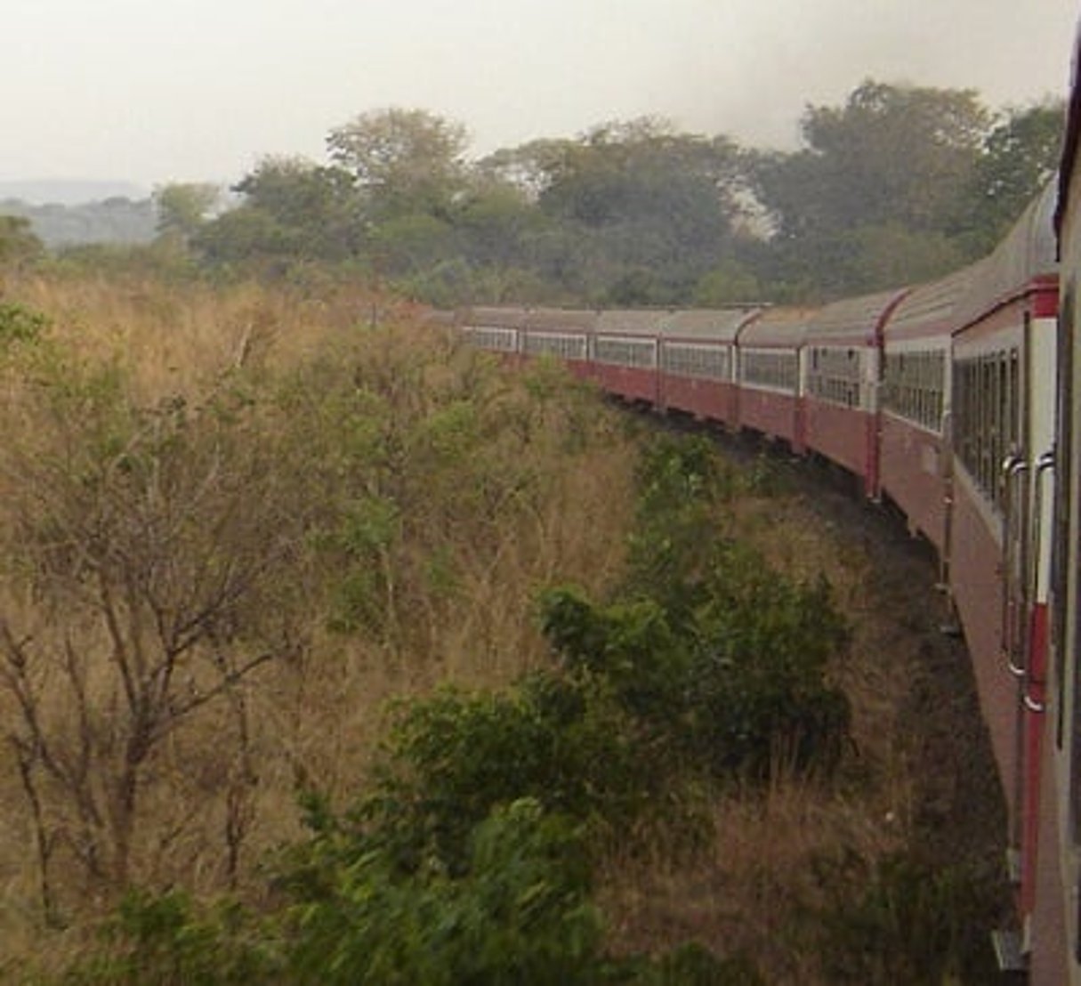 Un train circulant près de la commune de Bamkin au Cameroun. © Elin B/CC/Flickr