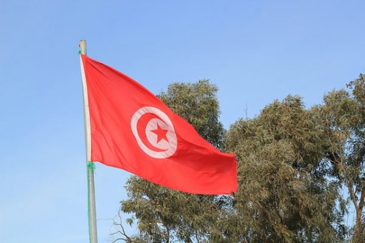 Un drapeau tunisien géant a été inauguré le 20 mars au parc du Belvédère, à l’occasion de la fête de l’indépendance. © Riyadh Al Balushi/CC/Flickr