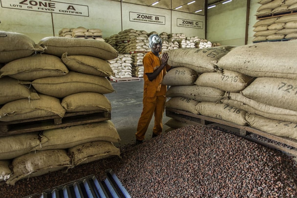 Cacao ivoirien (photo d’illustration) © Jacques Torregano pour JA