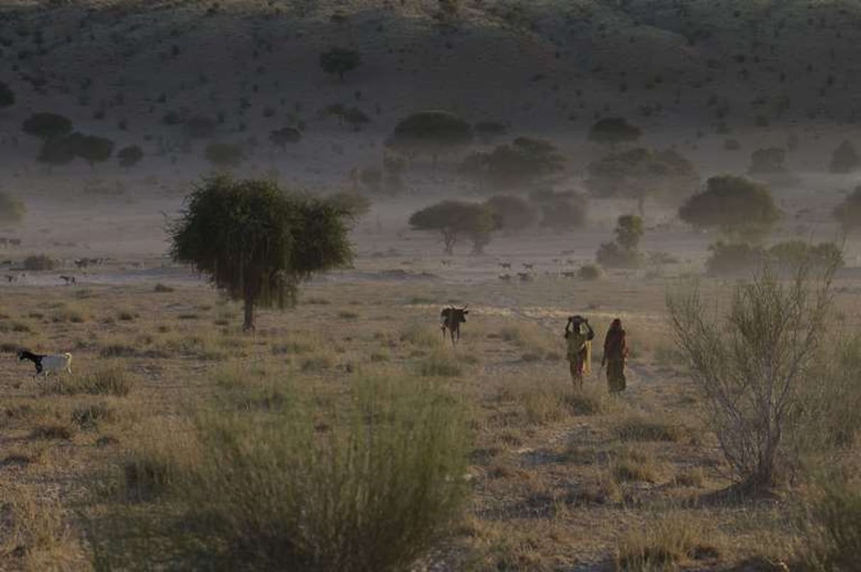 Des femmes près du village de Louri, dans la région de Mao, au dans le sud du Tchad, le 22 décembre 2012. © Rebecca Blackwell/AP/SIPA