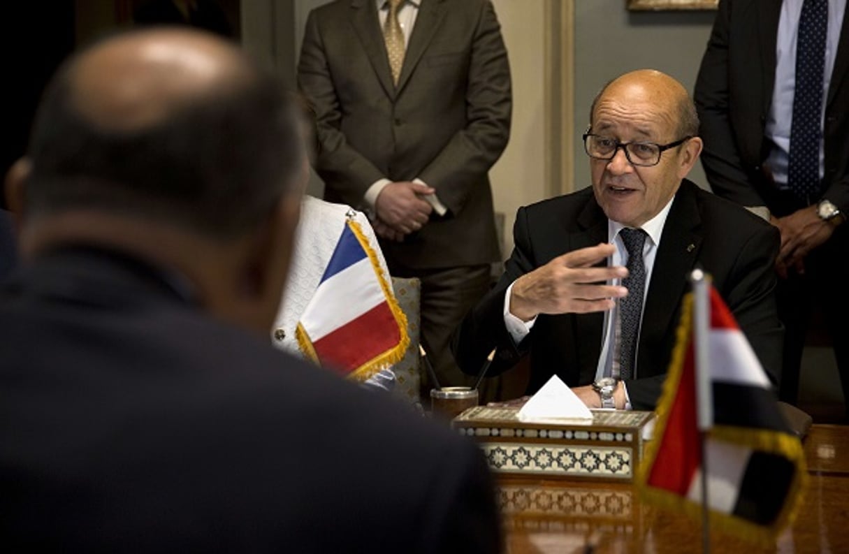 Le ministre des Affaires étrangères, Jean-Yves Le Drian, discute avec son homologue égyptien, Sameh Choukry, lors de sa visite au Caire le 8 juin 2017. © Amr Nabil/AP/SIPA