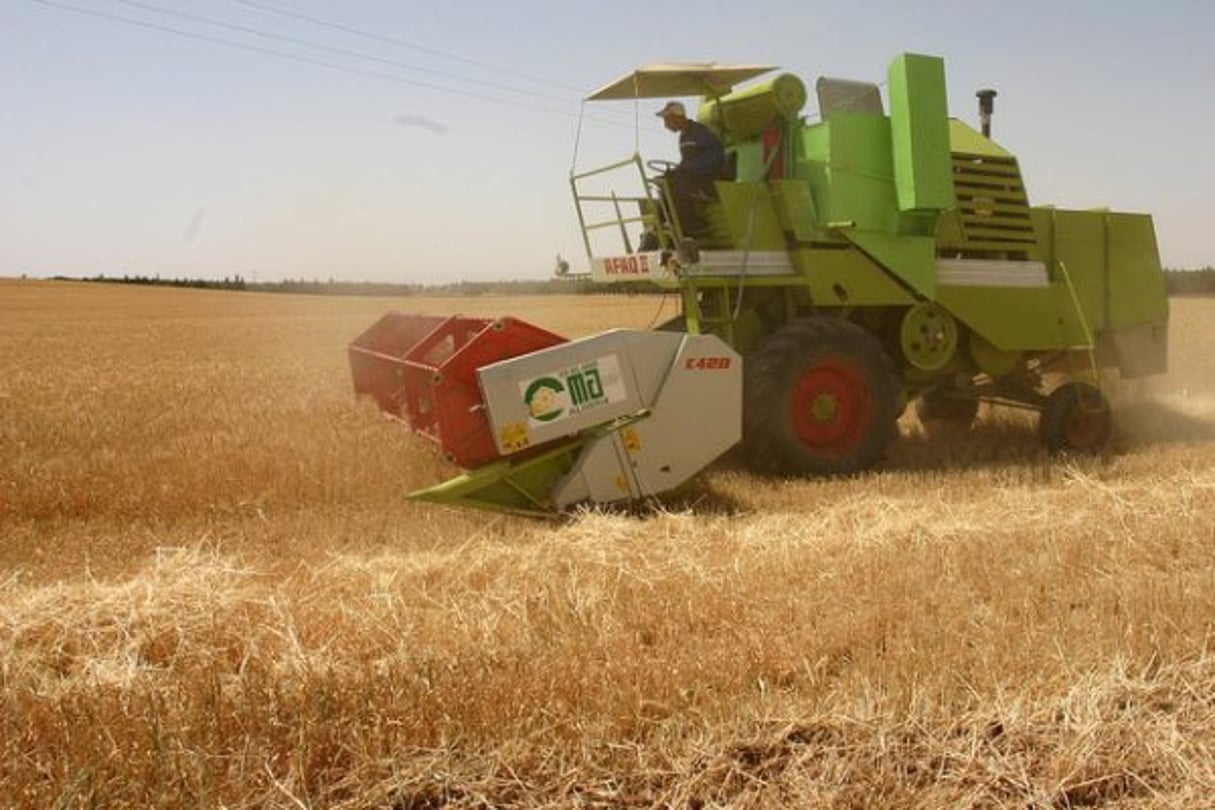 En Algérie, l’agriculture représente 12% du PIB algérien. © Magharebia/CC/Flickr