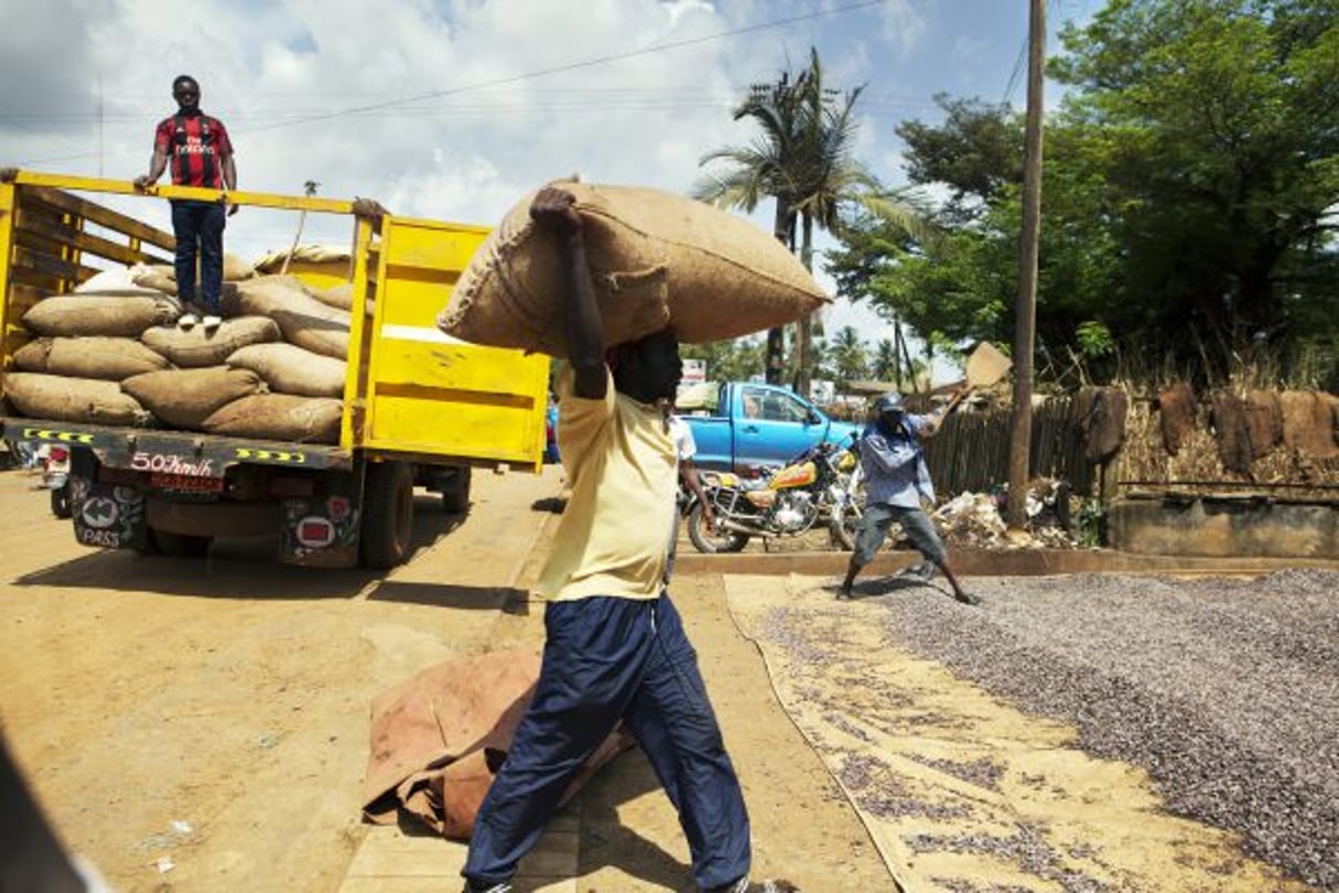 Transport de fèves de cacao à Kumba, dans la région du Sud-Ouest. © Ann Johansson/Corbis via Getty Images