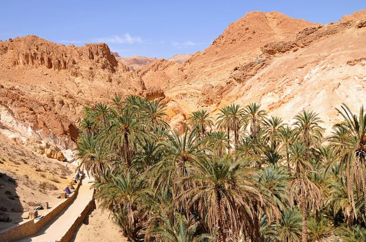 Chebika, une oasis de montagne au sud de la Tunisie, dans le gouvernorat de Tozeur. © Dennis Jarvis/CC/Flickr