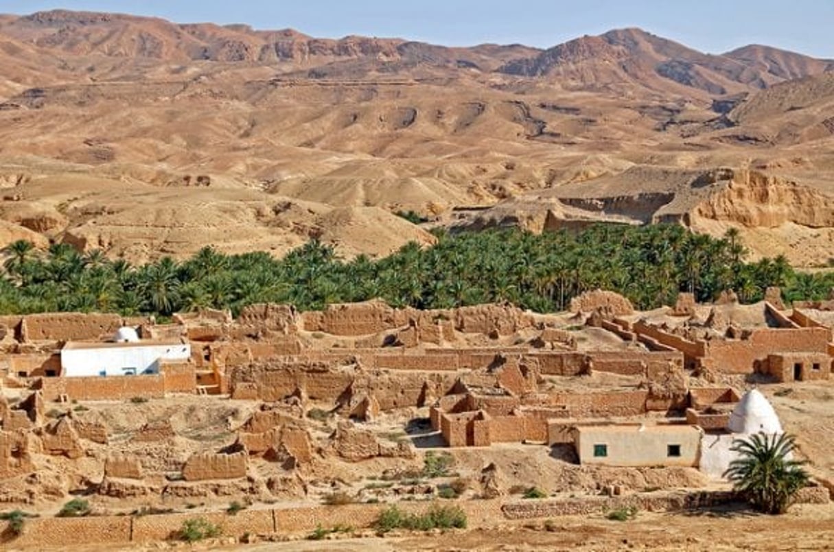 Tamerza, une oasis située au sud-ouest de la Tunisie (gouvernorat de Tozeur) © Dennis Jarvis/Flickr/CC