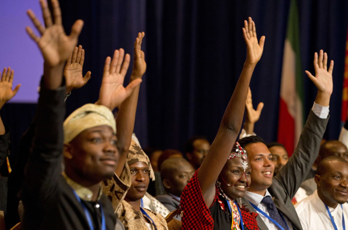Certains des étudiants africains sélectionnés dans le cadre du programme lancé par le président Obama, en 2014, à Washington. © Jacquelyn Martin/AP/SIPA