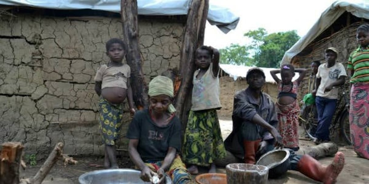 Maria Muzinga, une Pygmée dont trois enfants auraient été brûlés vif lors de heurts avec des Bantous, dans le sud-est de la République démocratique du Congo, le 16 novembre 2014, dans le village de Mukondo. © HABIBOU BANGRE / AFP