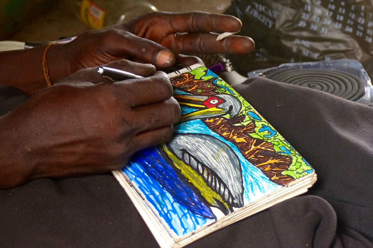Jean-Dominique Senghor dessine un pélican gris sur son carnet. &copy; Photo : Sophie Douce pour Jeune Afrique