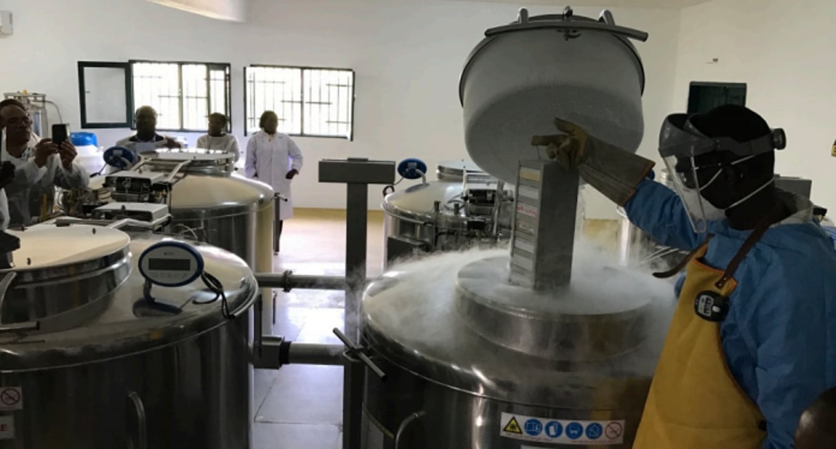 Vue de la biobanque de l’Institut Pasteur de Côte d’Ivoire. © DR