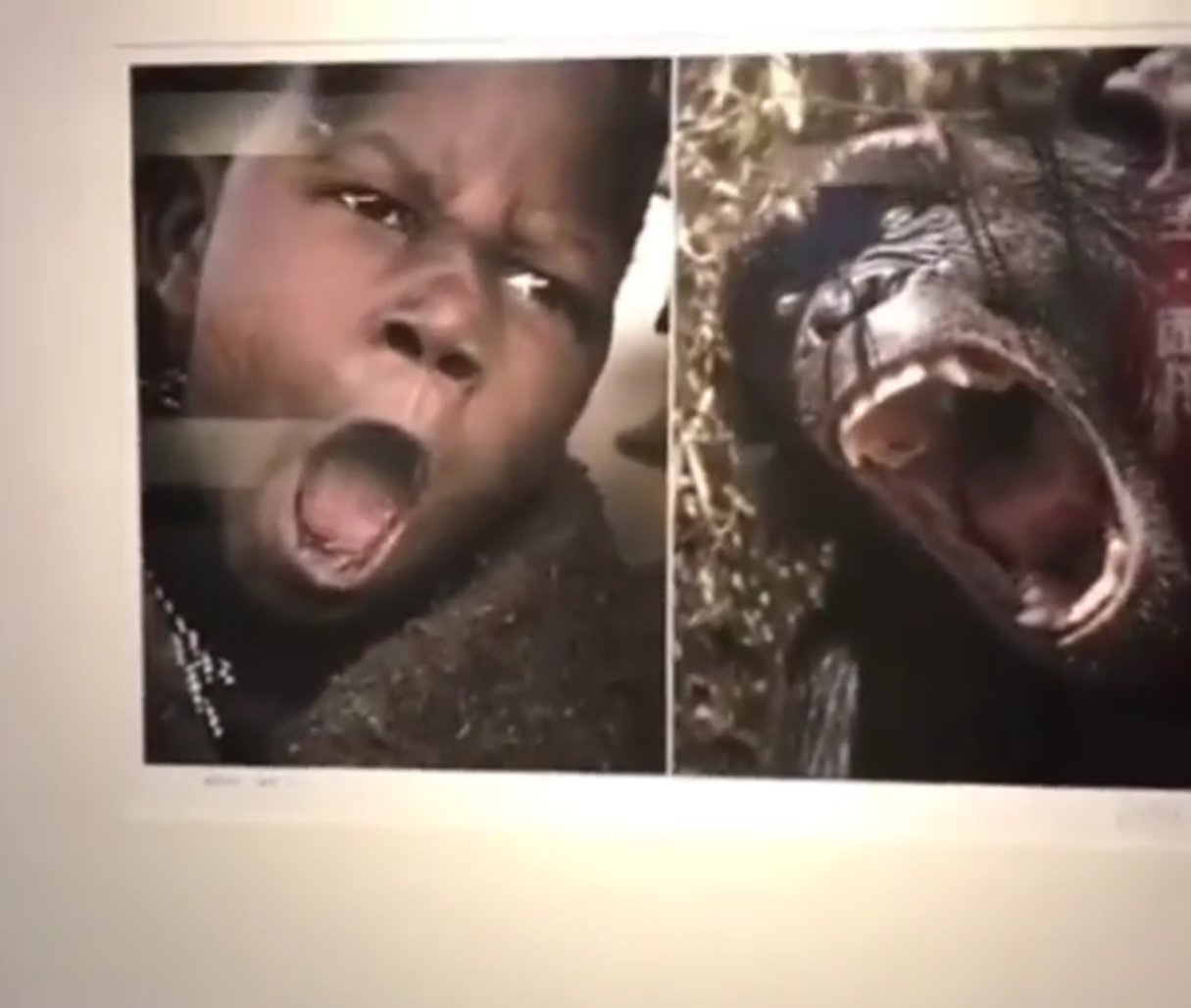 Présentée en Chine, une exposition de phtographies qui mettait côte à côte des Africains et des animaux sauvages, a suscité l’indignation sur les réseaux sociaux. © Capture d’écran