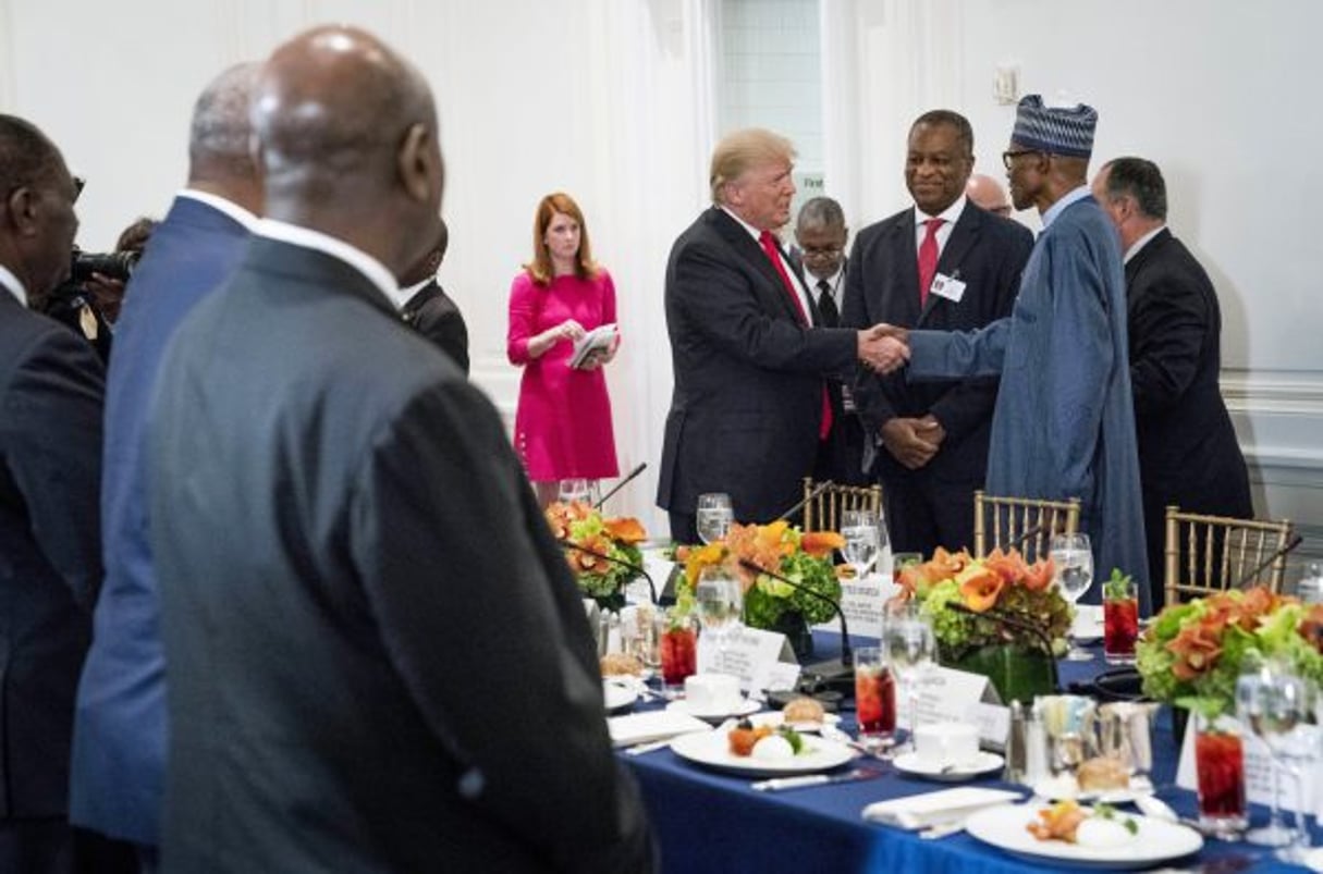 Donald Trump accueillait en septembre 2017 à New York plusieurs de ses homologues du continent, dont le Nigérian Buhari. © DOUG MILLS/NYT-REDUX-REA