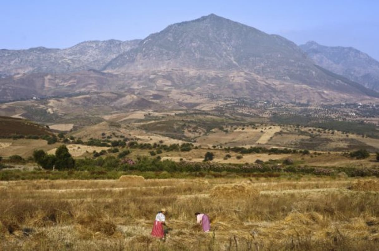 Paysannes aux champs près de Chefchaouen, dans le Rif (Maroc). © Vincent Fournier/Jeune Afrique/JA