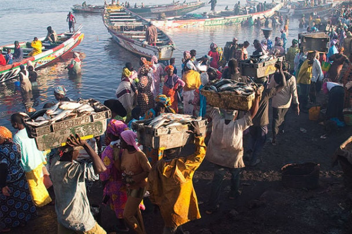 Le marché aux poissons à Saint-Louis, au Sénégal, en 2011 (illustration) © Creative Commons / Flickr / Evgeni Zotov