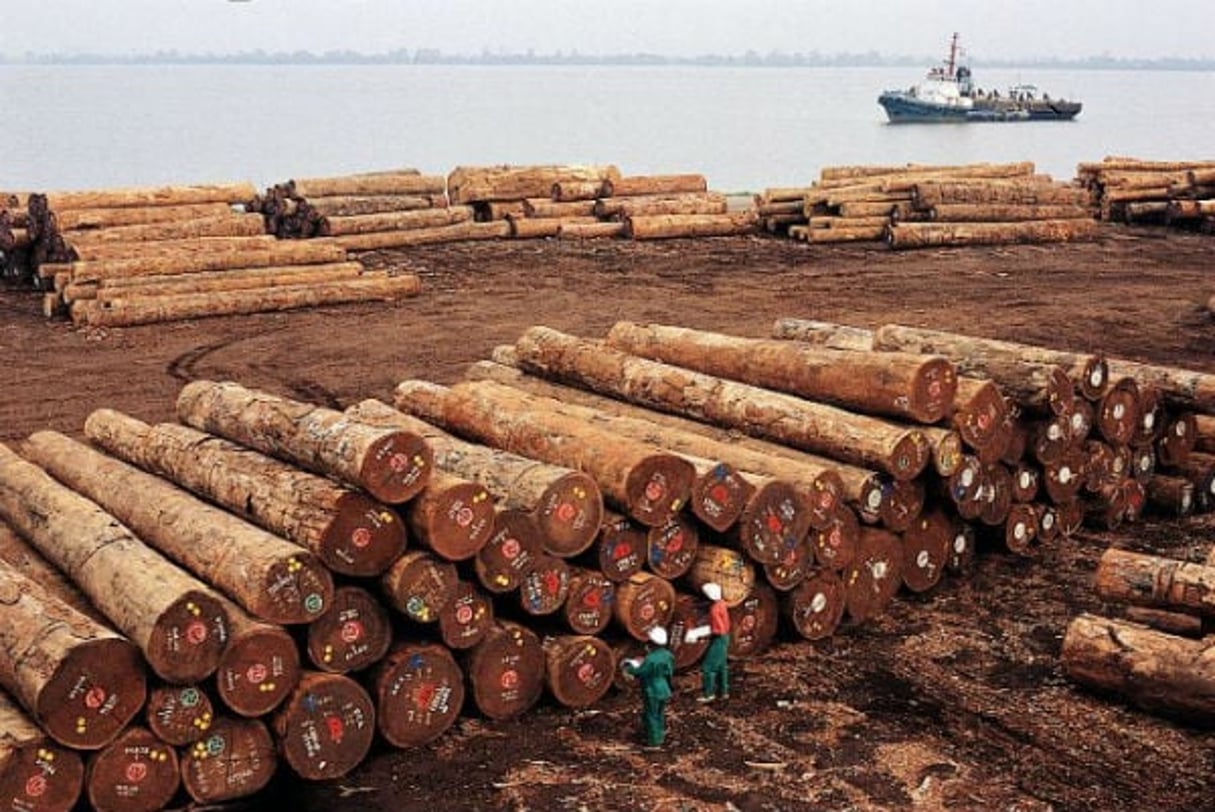 Stockage de bois sur le port de Douala, en 2011 (image d’illustration). © Jean-François Rollinger pour JA