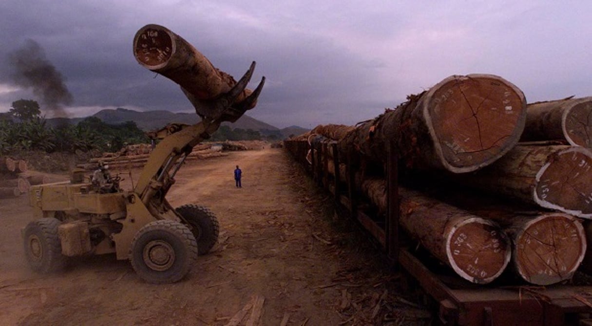 Exploitation de bois au Gabon (photo d’illustration). © SAURABH DAS/AP/SIPA