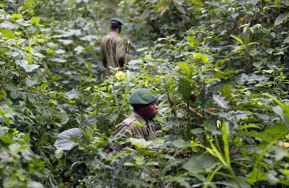 Des rangers en train de patrouiller dans le parc national des Virunga, en RDC, le 12 août 2012. © Jerome Delay/AP/SIPA