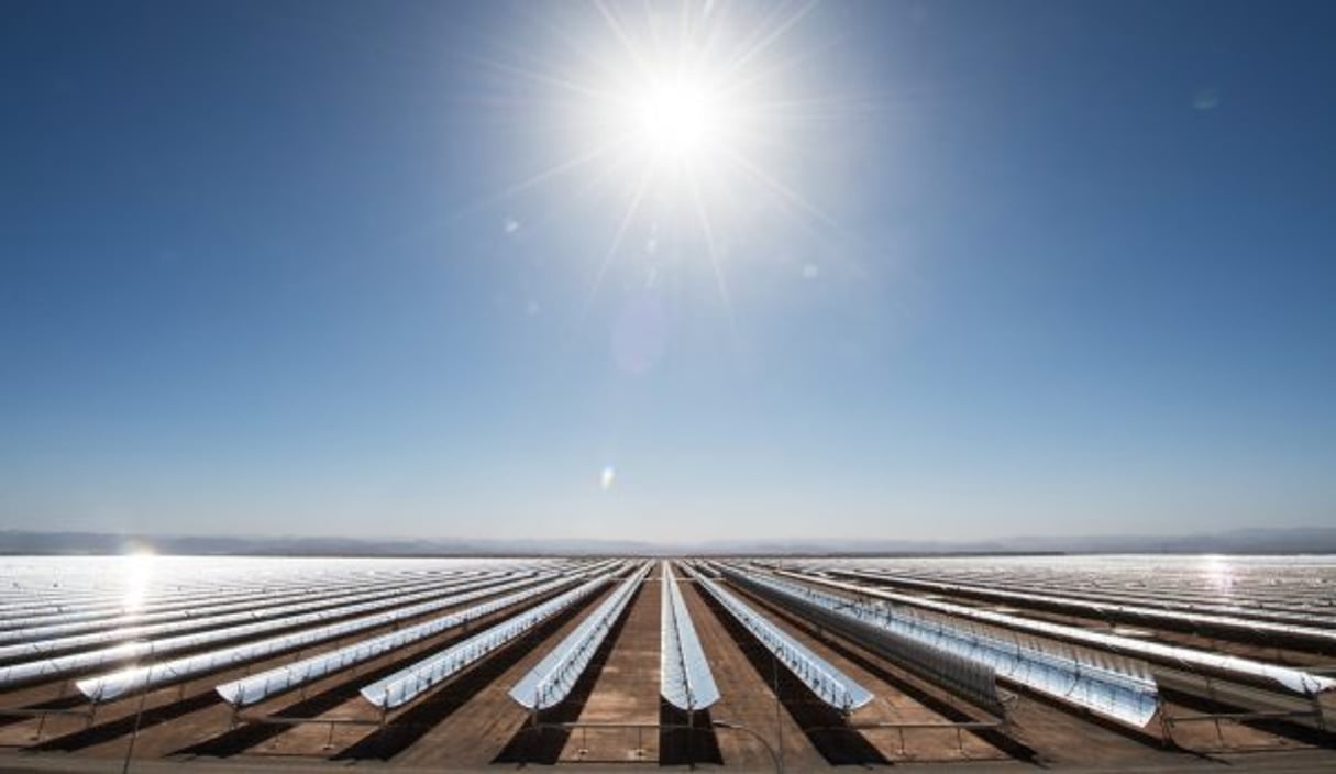 Miroirs solaires de la centrale Noor, à Ouarzazate (Maroc) © Benoit Doppagne/BELGA/AFP