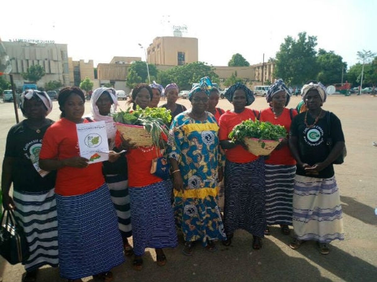 Participation de la Saisonnière à une marche à Ouagadougou, le 2 juin 2017 pour la promotion de l’agriculture biologique et l’agroecologie. © Rosa