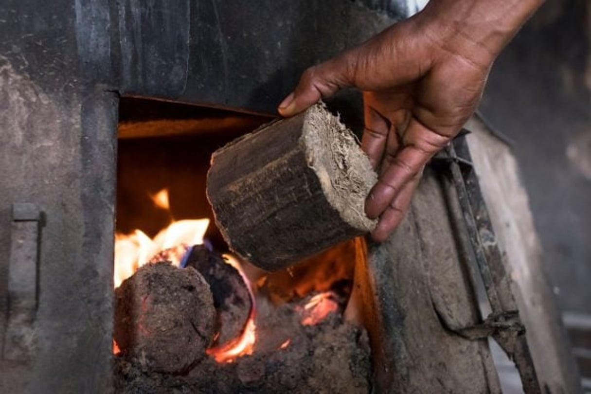 Vente en gros Usine De Briquettes De Charbon De Noix De Coco de