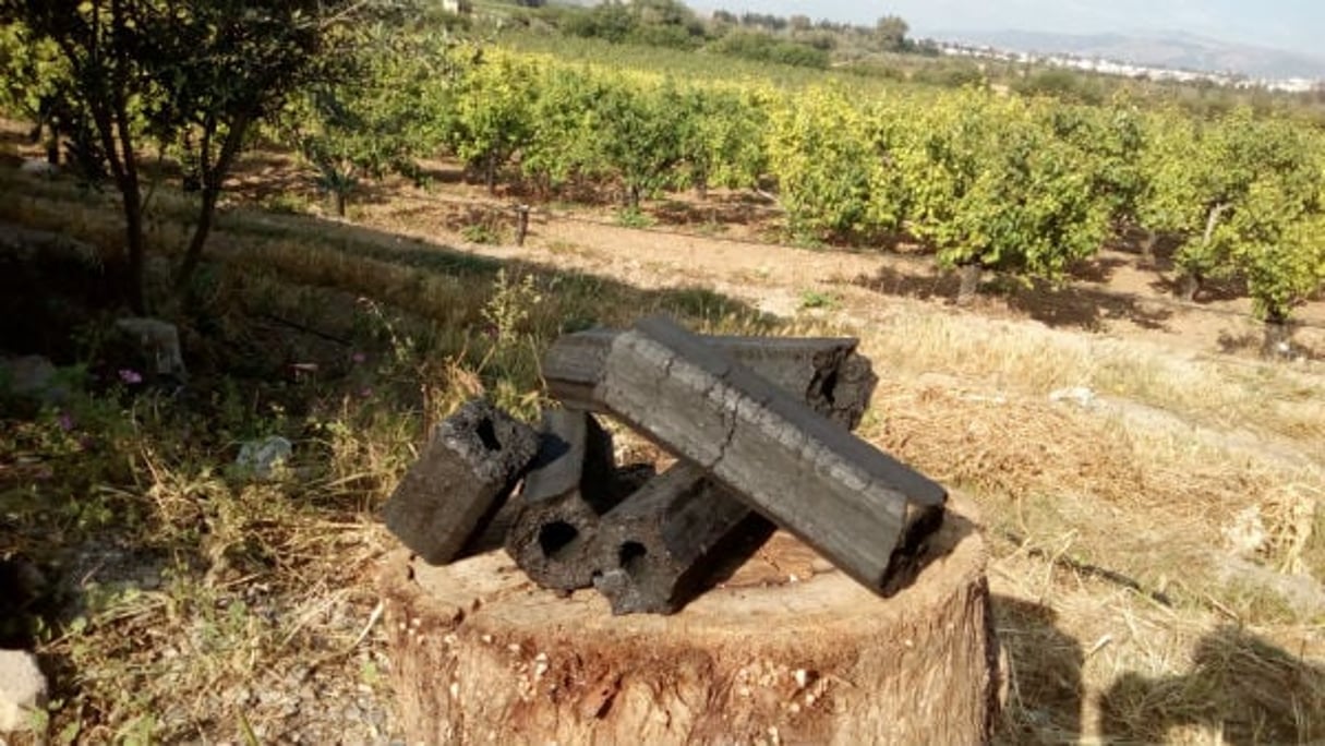 Du charbon fait à partir de briquettes en bois. © Chanouf farm Biofire