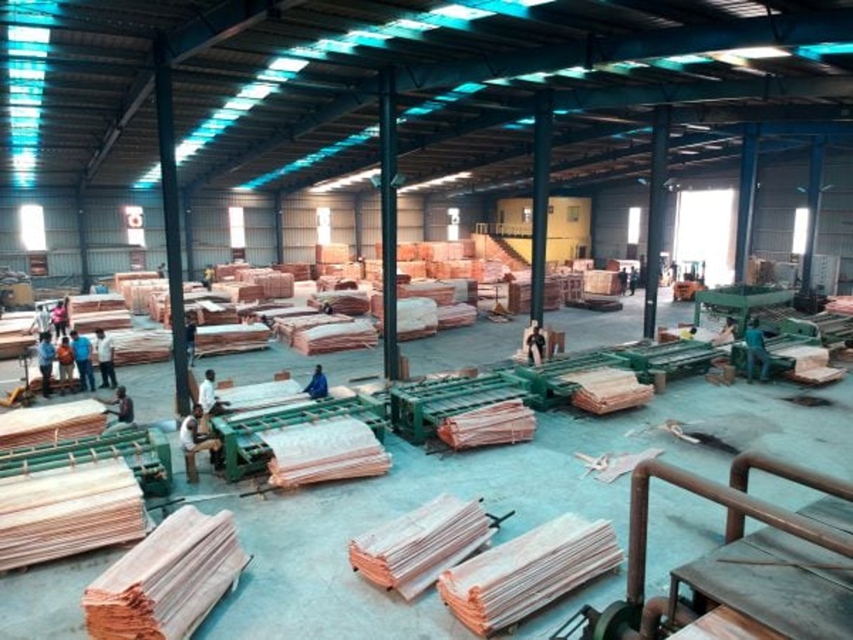 Gabon Veneer, entreprise de traitement du bois dans la Zone économique spéciale de Nkok. © rishith singhara