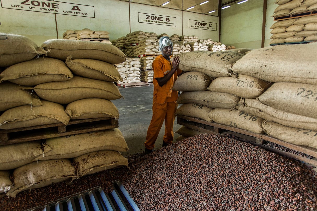Unité de transformation du Cacao dans l'usine de Choco Ivoire à San Pedro, dans le sud-ouest de la Côte d'Ivoire. en mars 2016. &copy; Jacques Torregano pour JA