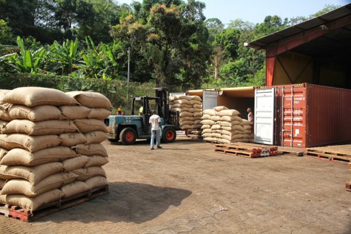 SAF Cacao entreprise de negoce de cacao  San Pedro Cote d’Ivoire le 19 janvier 2016. © Franck Akpoue pour jeune Afrique