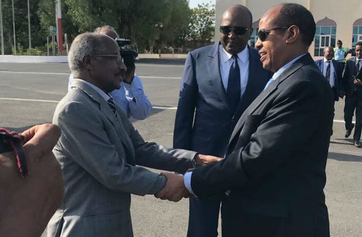 Osman Saleh (g.), ministre érythréen des Affaires étrangères, et Mahmoud Ali Youssouf, son homologue djiboutien, à l’aéroport de Djibouti le 6 septembre 2018. © DR / Ministère djiboutien des Affaires étrangères