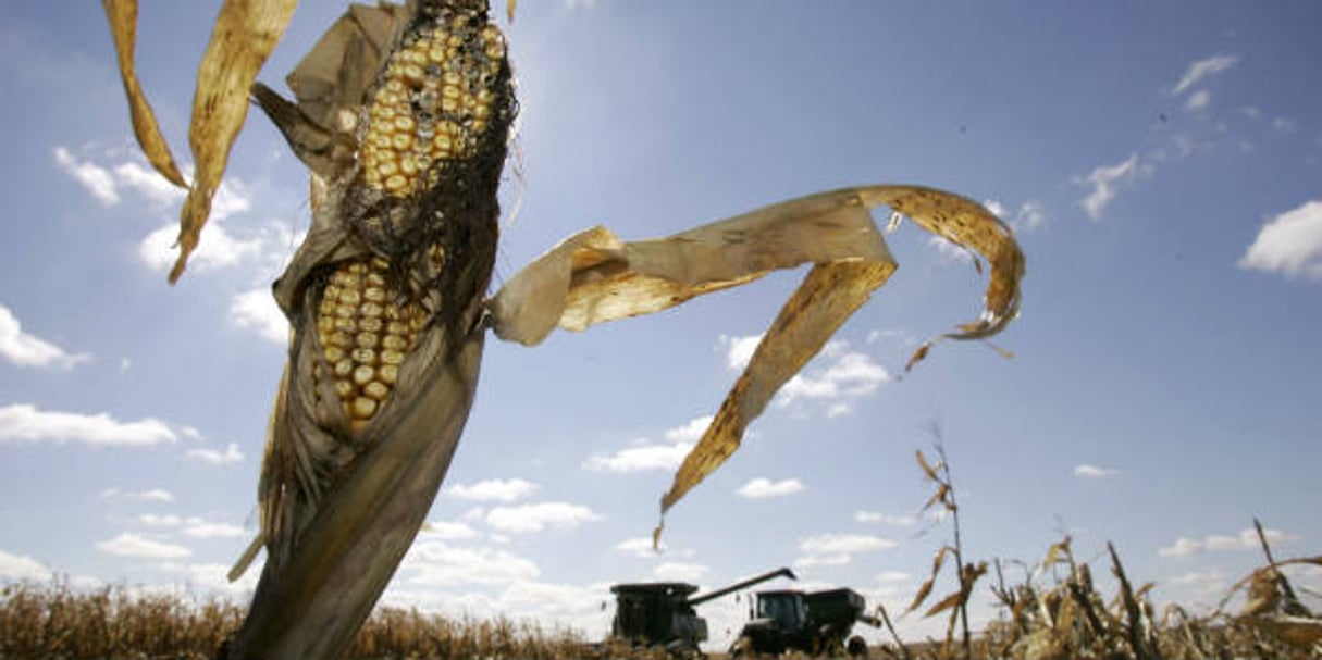 Comment libérer le potentiel agricole de l’Afrique ? © Charlie Neibergall/AP/SIPA