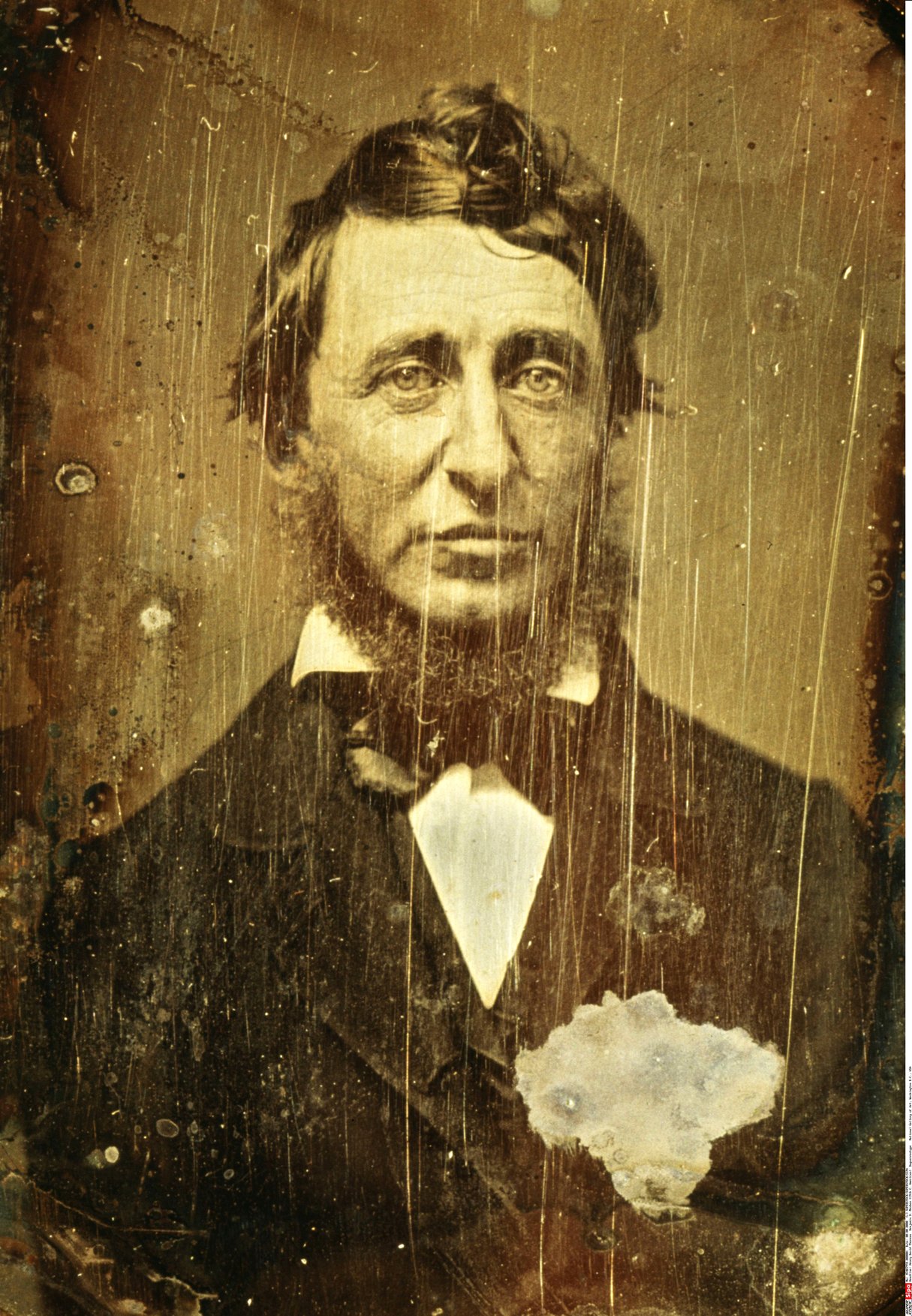 L’Américain Henry David Thoreau, proto-écologiste et maître à penser de Sansal dans son dernier roman. &copy; SIPA